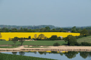 Ferien an der Schlei - die Landschaft