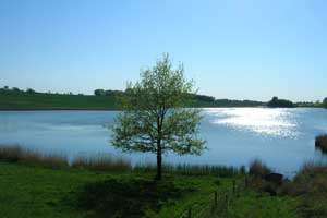 Ferien an der Schlei - die Landschaft