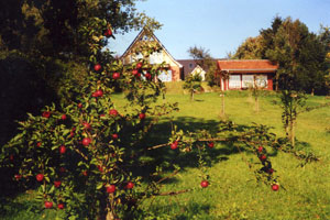 Ferien an der Schlei - die Landschaft