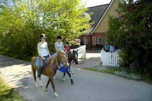 Schlei Idylle für Reiten