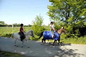 Schlei Idylle für Reiten