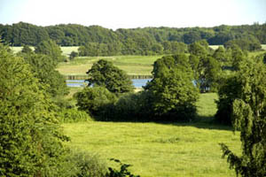 Ferien an der Schlei - die Landschaft