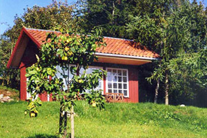 Ferien an der Schlei - die Landschaft